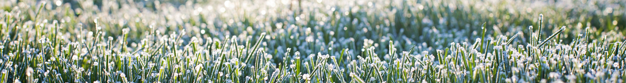 Anette Thornfeldt Fisker · Coaching, mindfulness og stressrådgivning